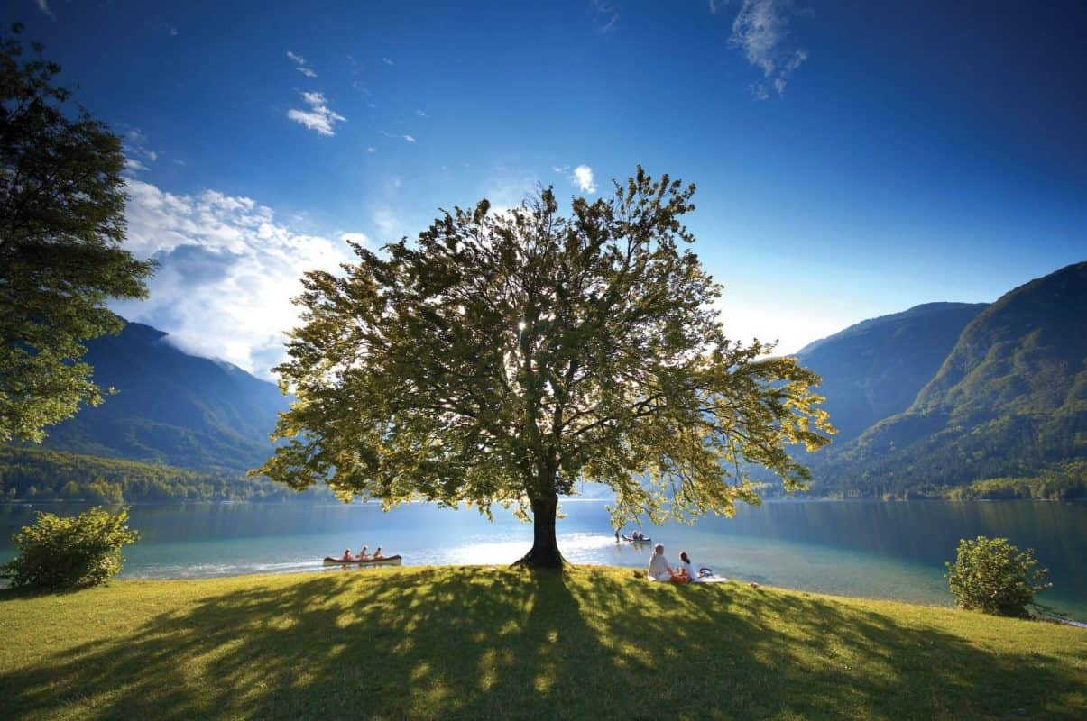 Bohinjsko Jezero (Lake Bohinj)