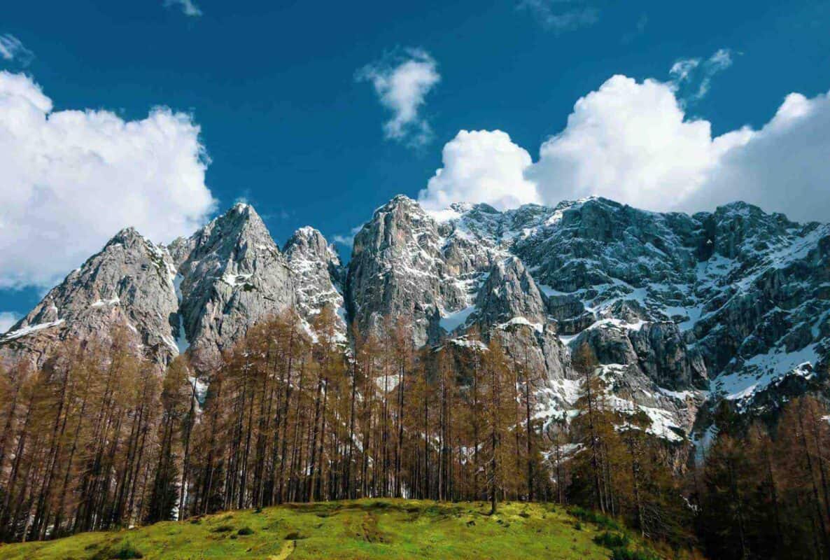 Slovénie extérieur se déplacer dans la nature