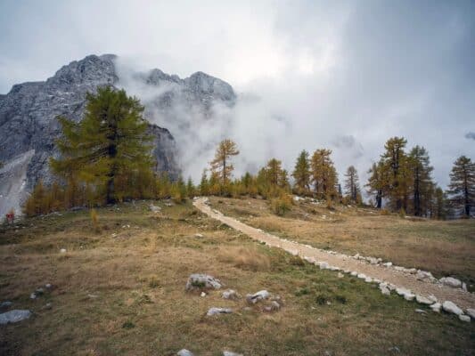 Paysage de montagne serein avec un sentier menant au refuge d'Erjavčeva entouré de pins et de sommets embrumés.