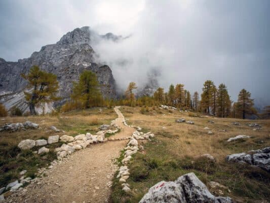 Rocher avec marqueur de sentier devant une scène de forêt et de montagne, sentier de randonnée près du refuge d'Erjavčeva, Slovénie.