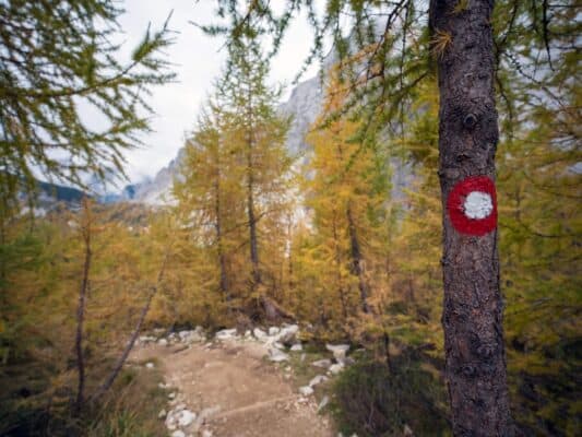 Sentier de montagne panoramique menant au refuge Erjavčeva, avec des arbres d'automne et un pic montagneux accidenté en arrière-plan.