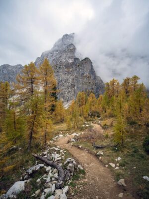 Sentier de montagne panoramique menant au refuge Erjavčeva, avec des arbres d'automne et un pic montagneux accidenté en arrière-plan.