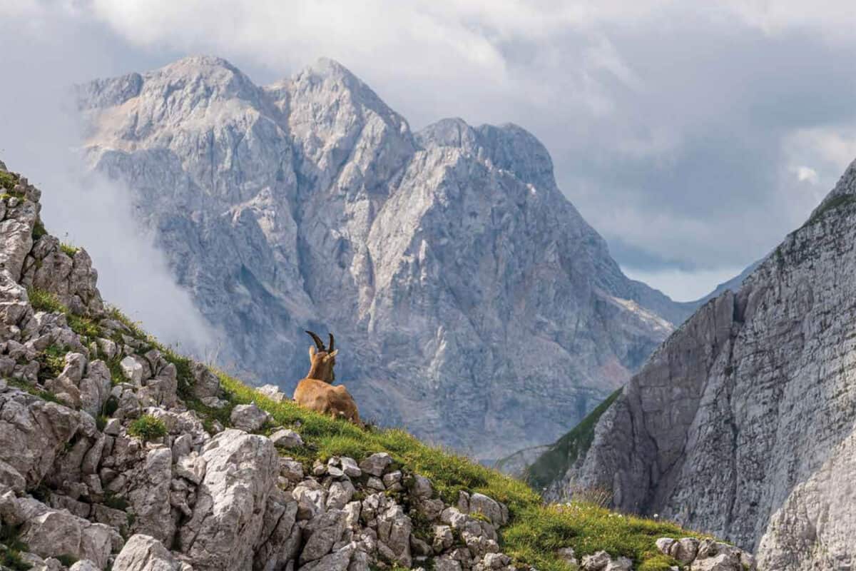 Parmi les montagnes Calendrier 2026